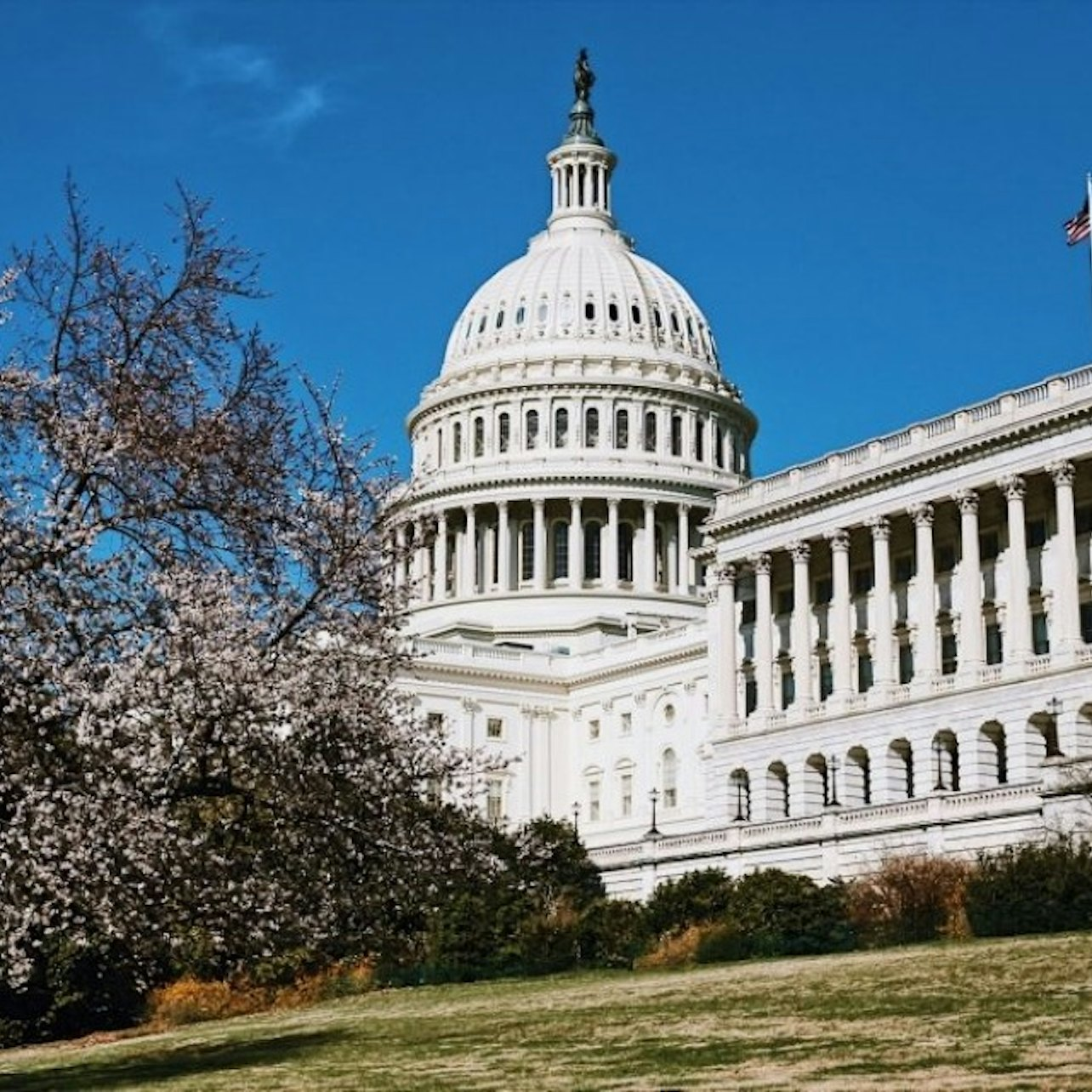 Capitol Hill: Small-Group Guided Walking Tour - Photo 1 of 17